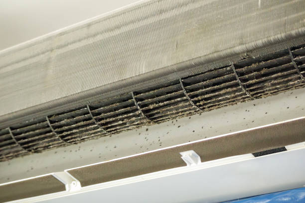 Best Emergency Air Duct Cleaning  in Harrison, NY